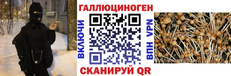 наркошоп  Шиханы  Галлюциногенные грибы MAGIC MUSHROOMS 
